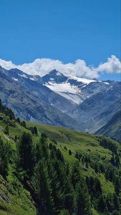 the mountains are covered in snow and green grass, with trees on either side of them