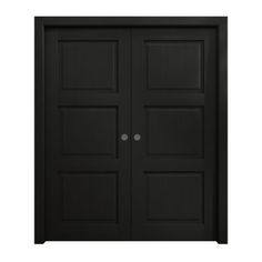 black double doors on white background