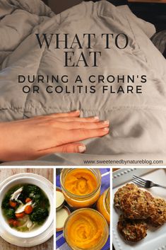 what to eat during a crohn's flare Crohns Friendly Recipes, Crohns Diet, Low Residue Diet, Crohns Recipes, Meal Guide, Specific Carbohydrate Diet, Autoimmune Paleo, Carbohydrate Diet, Diet Keto