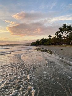 the sun is setting at the beach with waves coming in to shore and palm trees lining the shoreline