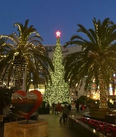 a large christmas tree is lit up in the middle of a city square with palm trees