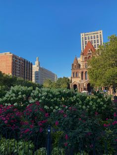 the city is full of tall buildings and flowers in the foreground, as well as many trees and bushes