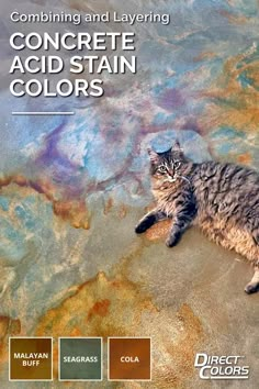 Cat on multicolor acid stained concrete floor Stained Concrete Floor Ideas, Stained Concrete Floors Colors, Stained Concrete Floors In House, Acid Wash Concrete Floor, Stained Concrete Floors Farmhouse, Stained Cement Floors, Acid Wash Concrete, Stained Concrete Colors, Concrete Acid Stain Colors