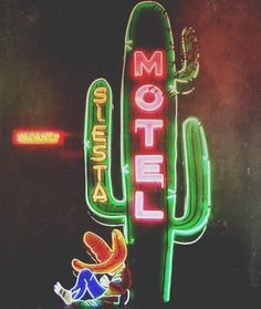 a neon sign that says motel on the side of a building with a cactus in front