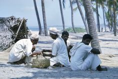 four men sitting on the beach playing with a wicker basket in front of palm trees