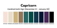 the color scheme for capricon