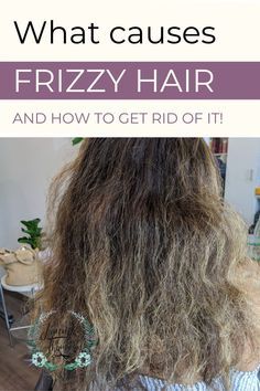 How To Fix Dry Frizzy Damaged Hair, Dry Frizzy Curly Hair Remedies, Hair Products For Thick Frizzy Hair, Fizzy Hair Products, Good Hair Products For Frizzy Hair, Frizzy To Smooth Hair, Defrizz Hair Products, Short Hair Styles For Thick Frizzy Hair, How To Style Dry Frizzy Hair