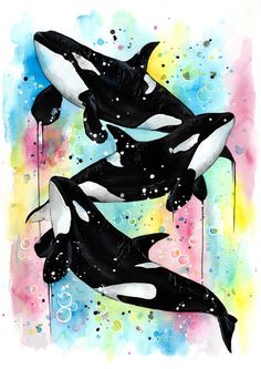 three orca whales swimming in the ocean with bubbles and watercolors behind them