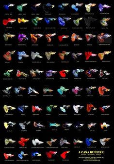 a poster with different types of colorful objects in the shape of hands and fingers on black background