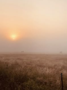 the sun is setting over a foggy field with cattle grazing in the distance on a misty day