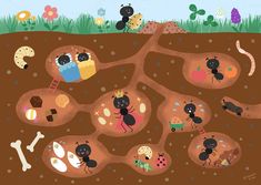 an image of ants in the dirt playing with toys and insects on it's ground