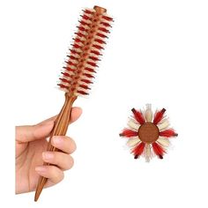 Small Round Boar & Nylon Bristle Hair Brush. Brush Diameter : 1.7 inch including bristles, 0.6 inch not including bristles. Brush length: 9.1 Inch, Brush weight : 1 oz (30g). Great boar bristle round brush for Fine, Thin, Short Hair. White & Red Natural Boar Bristle, makes hair smoothing and shiny. Two-Color Soft V Shape Ball-tipped Nylon Bristles. Easily glides through hair, grab hair, blow dry hair and style hair. Lightweight slender non-slip wooden handle, Easy to hold and spin. Does not tang Roller Hair, Hair Smoothing, Boar Bristle Brush, Blow Dry Hair, Natural Hair Oils, Hair White, Promote Healthy Hair Growth, Round Brush, Clean Hair