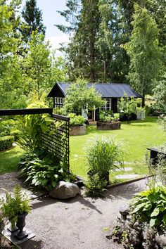 an outdoor garden with lots of plants and trees