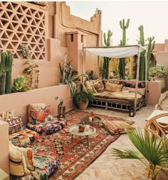 an outdoor living area with couches, rugs and cacti