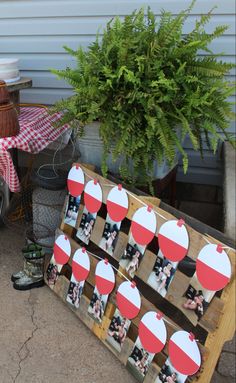 an outdoor table with pictures and potted plants