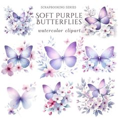 some purple butterflies and flowers on a white background with the words soft purple butterflies watercolor clipart