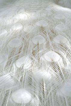 a close up view of white feathers on a tableclothed surface with light coming from the top