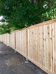 a wooden fence is lined up against the trees