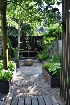 an outdoor garden with lots of trees and plants in the center, along with a wooden walkway