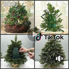 four pictures of different types of christmas trees in various stages of being cut and decorated