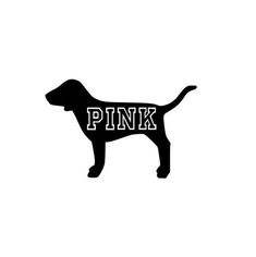 a black and white dog with the word pink on it