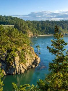 a scenic view of the ocean and trees from above, with a bridge in the distance