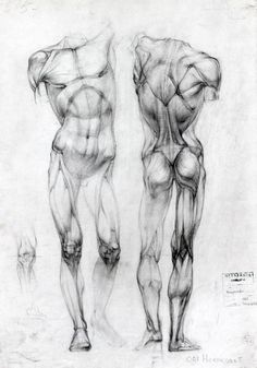 two drawings of the back and side of a man's body