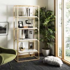 a living room filled with furniture and a potted plant on top of a shelf