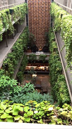 an indoor garden with lots of green plants and greenery growing on the sides of it