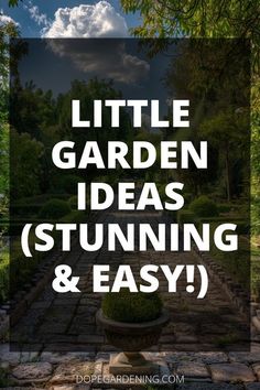 the words little garden ideas stunning and easy on top of a stone path in front of trees