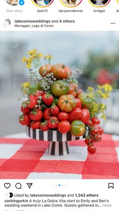 a bunch of tomatoes and other vegetables on a table with the caption's instagram