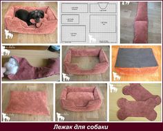 there are many pictures of different dog beds