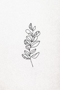 a black and white drawing of a leaf