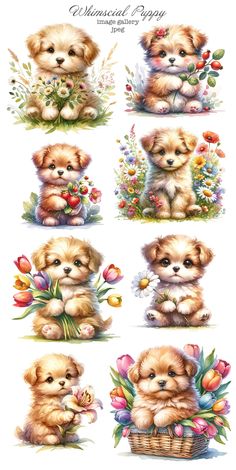 a bunch of dogs that are sitting in the grass with flowers on their chests