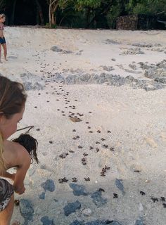 two girls are playing in the sand with rocks and shells on the beach while another girl watches