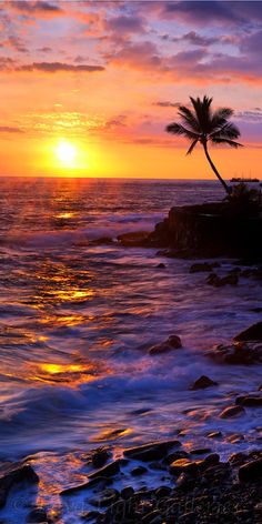 the sunset is setting over the ocean with palm trees in the foreground and rocks on the shore