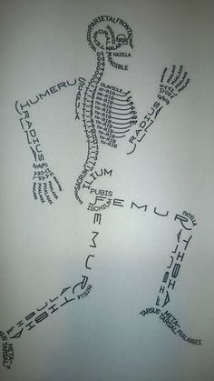 a drawing of a skeleton with words written on it