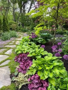 a garden filled with lots of green plants and purple flowers next to a stone walkway