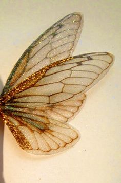 a white and gold butterfly sitting on top of a table