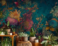 several potted plants in front of a colorful wall