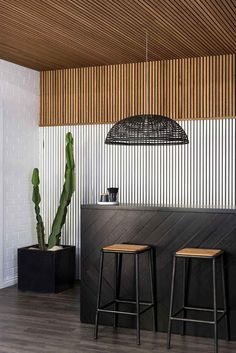 two stools in front of a bar with a cactus