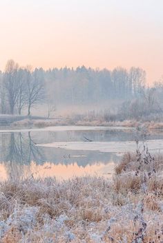 a frozen pond with trees in the background