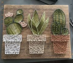 four different types of cactus plants on a cutting board next to some scissors and thread