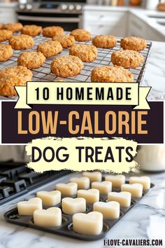 homemade low - calorie dog treats are the perfect treat for dogs and cats