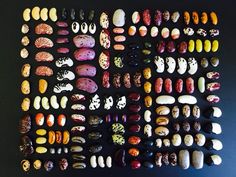 an array of different types and shapes of donuts on a black surface with white dots