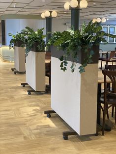 three planters with green plants in them are on the floor next to each other