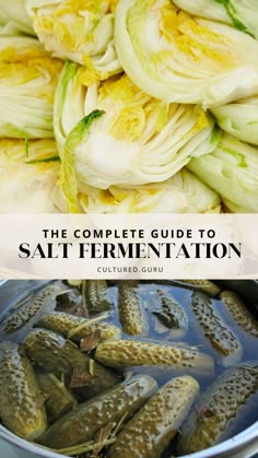 the complete guide to salt fermentation in a pot with text overlay