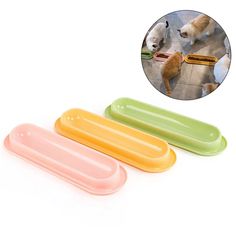 three different colored plastic plates with dogs on them and one has a toothbrush in it