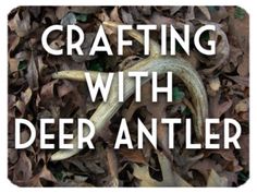 the words crafting with deer antler are in white letters on top of brown leaves