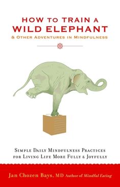 A growing body of research is showing that mindfulness can reduce stress, improve physical health, and improve one's overall quality of life. Jan Chozen Bays, MD--physician and Zen teacher--has developed a series of simple practices to help us cultivate mindfulness as we go about our ordinary, daily lives. Exercises include: taking three deep breaths before answering the phone, noticing and adjusting your posture throughout the day, eating mindfully, and leaving no trace of yourself after using Improve Physical Health, Mindfulness Books, Wild Elephant, Mindfulness Exercises, How To Train, Quality Of Life, Mindfulness Meditation, Physical Health, Book Print